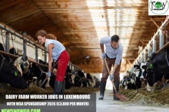 Dairy Farm Worker Jobs in Luxembourg with Visa Sponsorship