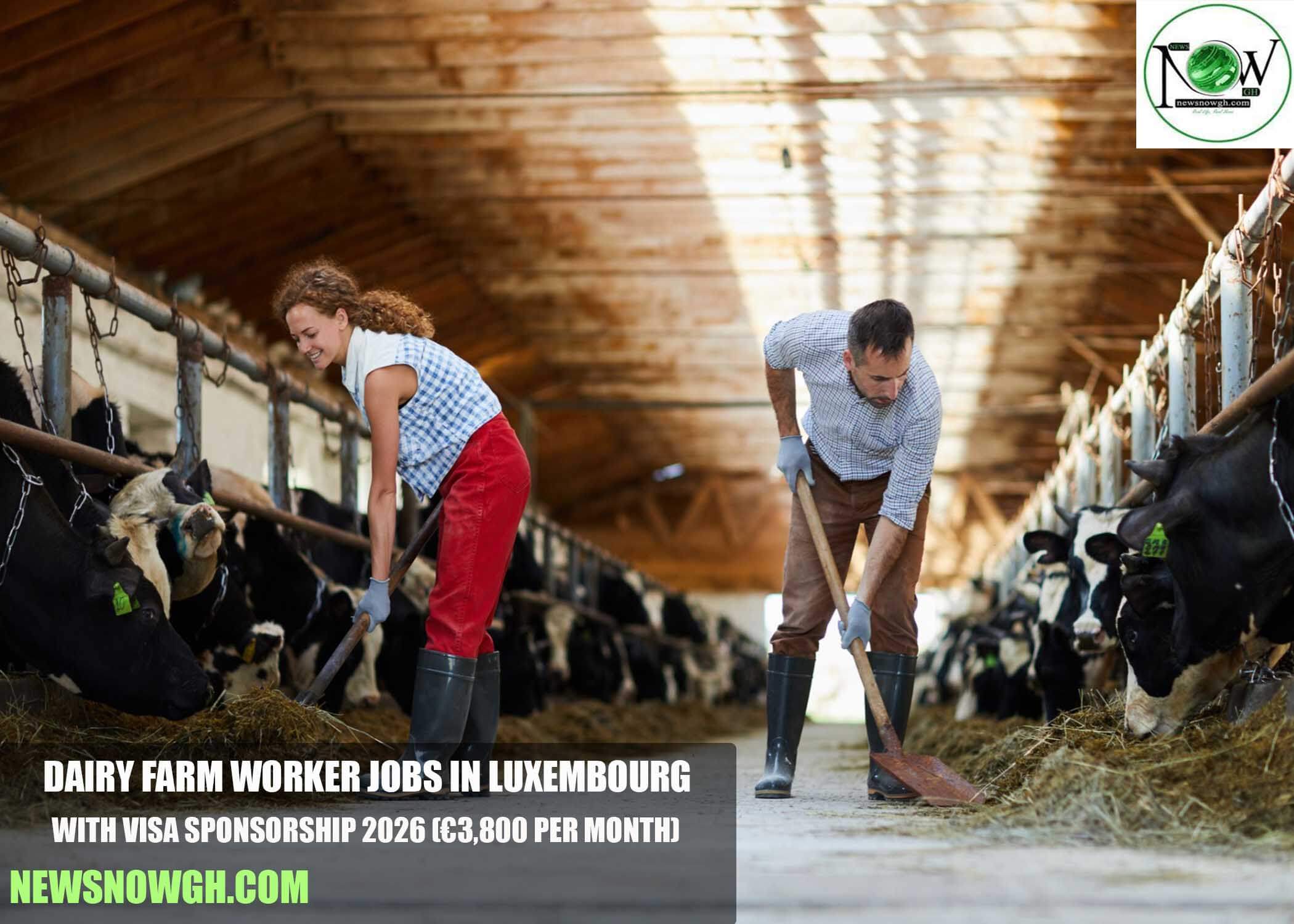 Dairy Farm Worker Jobs in Luxembourg with Visa Sponsorship