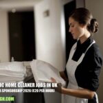 Domestic Home Cleaner Jobs in UK