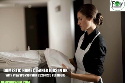 Domestic Home Cleaner Jobs in UK