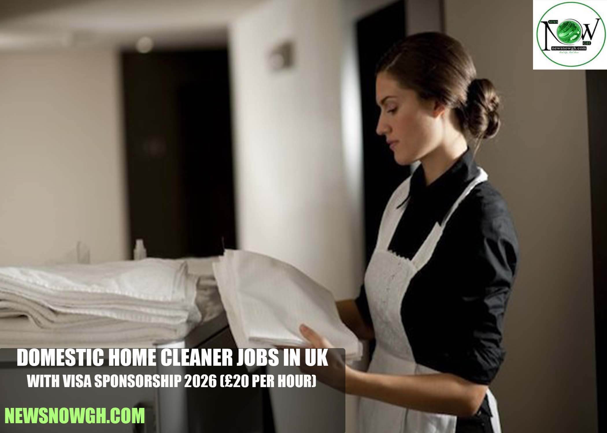 Domestic Home Cleaner Jobs in UK