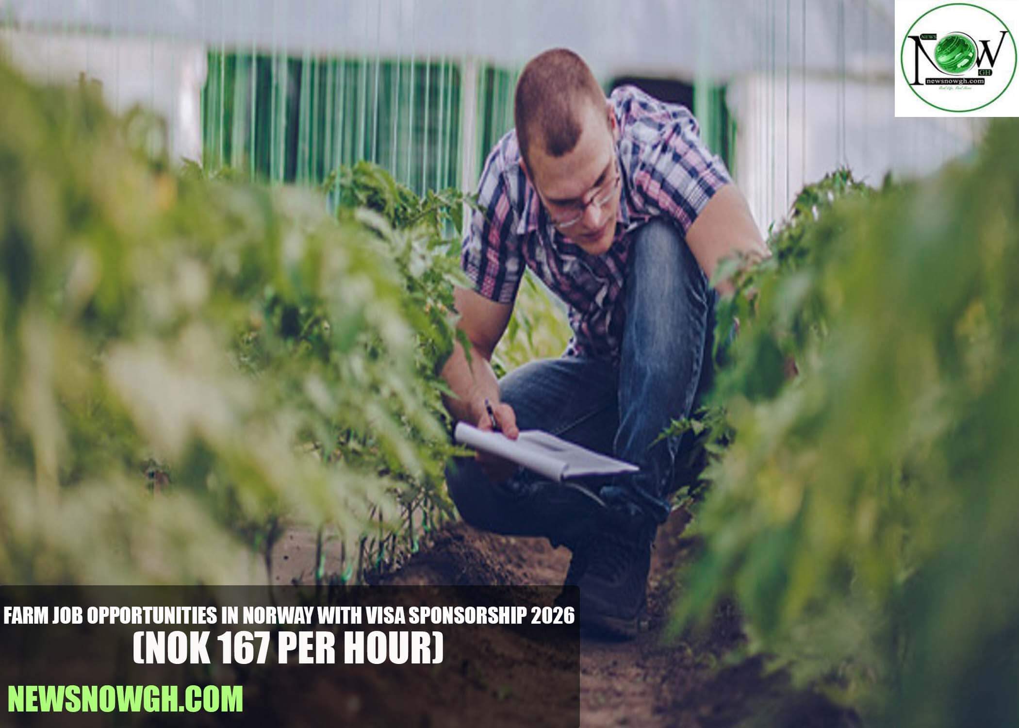 Farm Job Opportunities in Norway with Visa Sponsorship