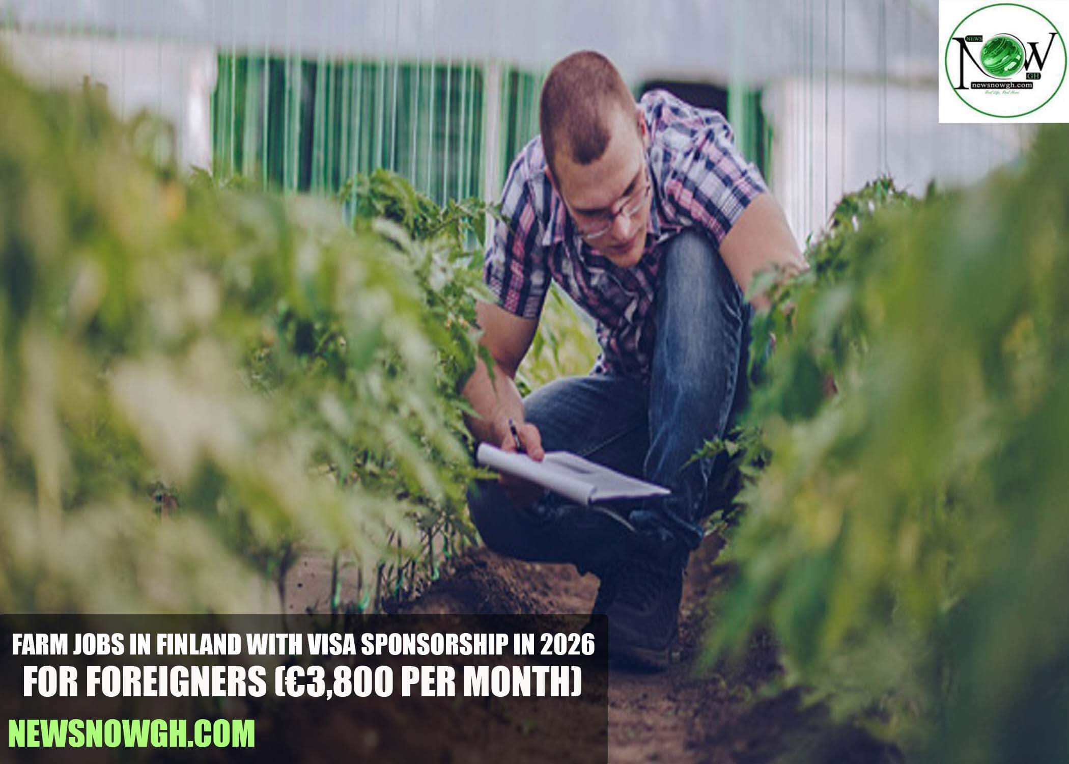 Farm Jobs in Finland with Visa Sponsorship