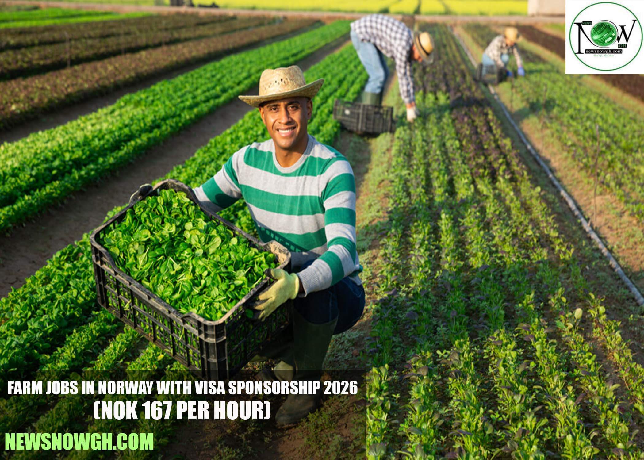Farm Jobs in Norway with Visa Sponsorship 2026