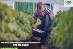 Farm Jobs in the Netherlands with Visa Sponsorship