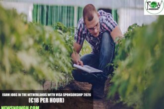 Farm Jobs in the Netherlands with Visa Sponsorship