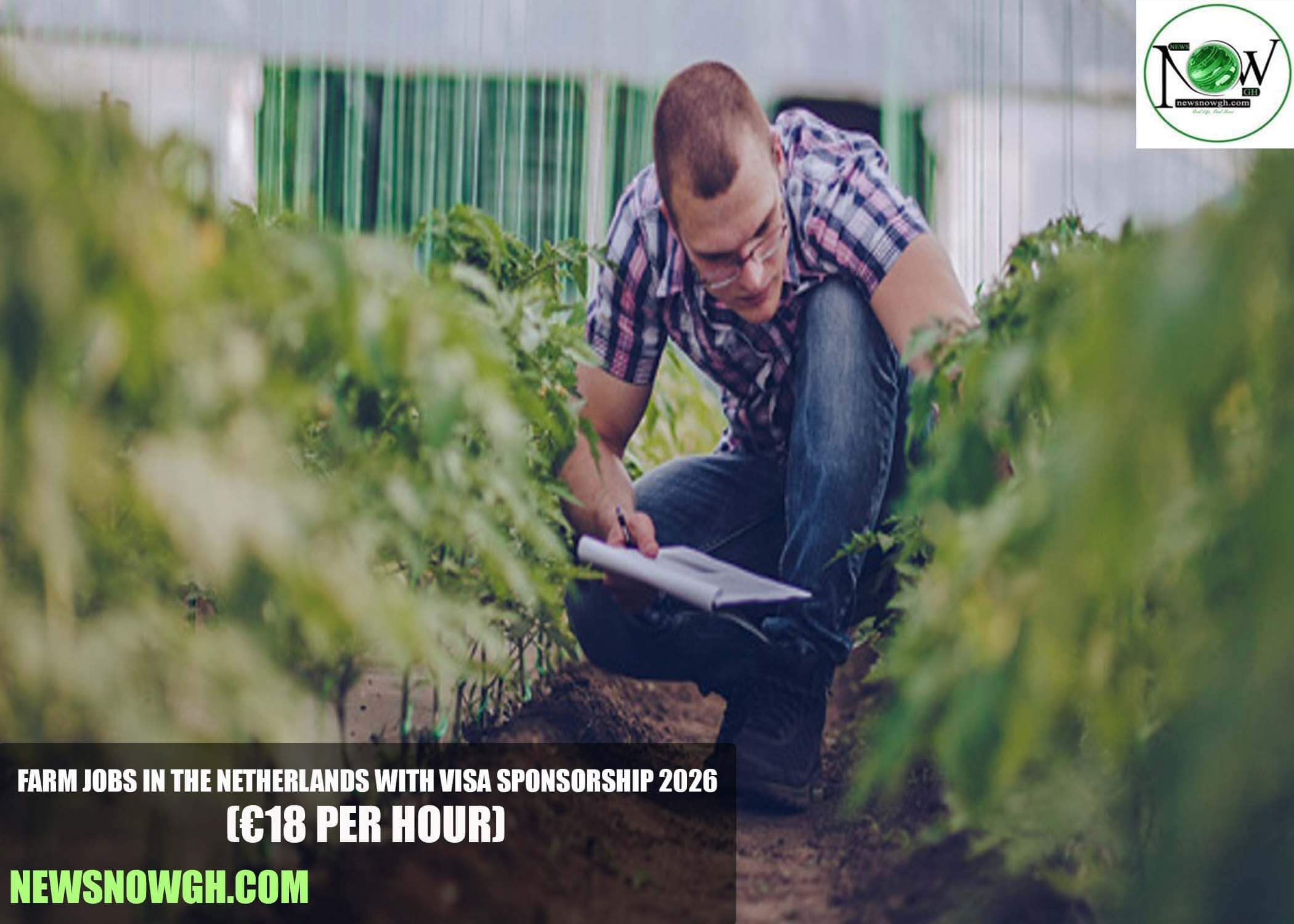 Farm Jobs in the Netherlands with Visa Sponsorship