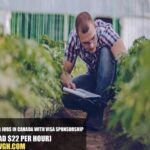 Farm Worker Jobs in Canada with Visa Sponsorship