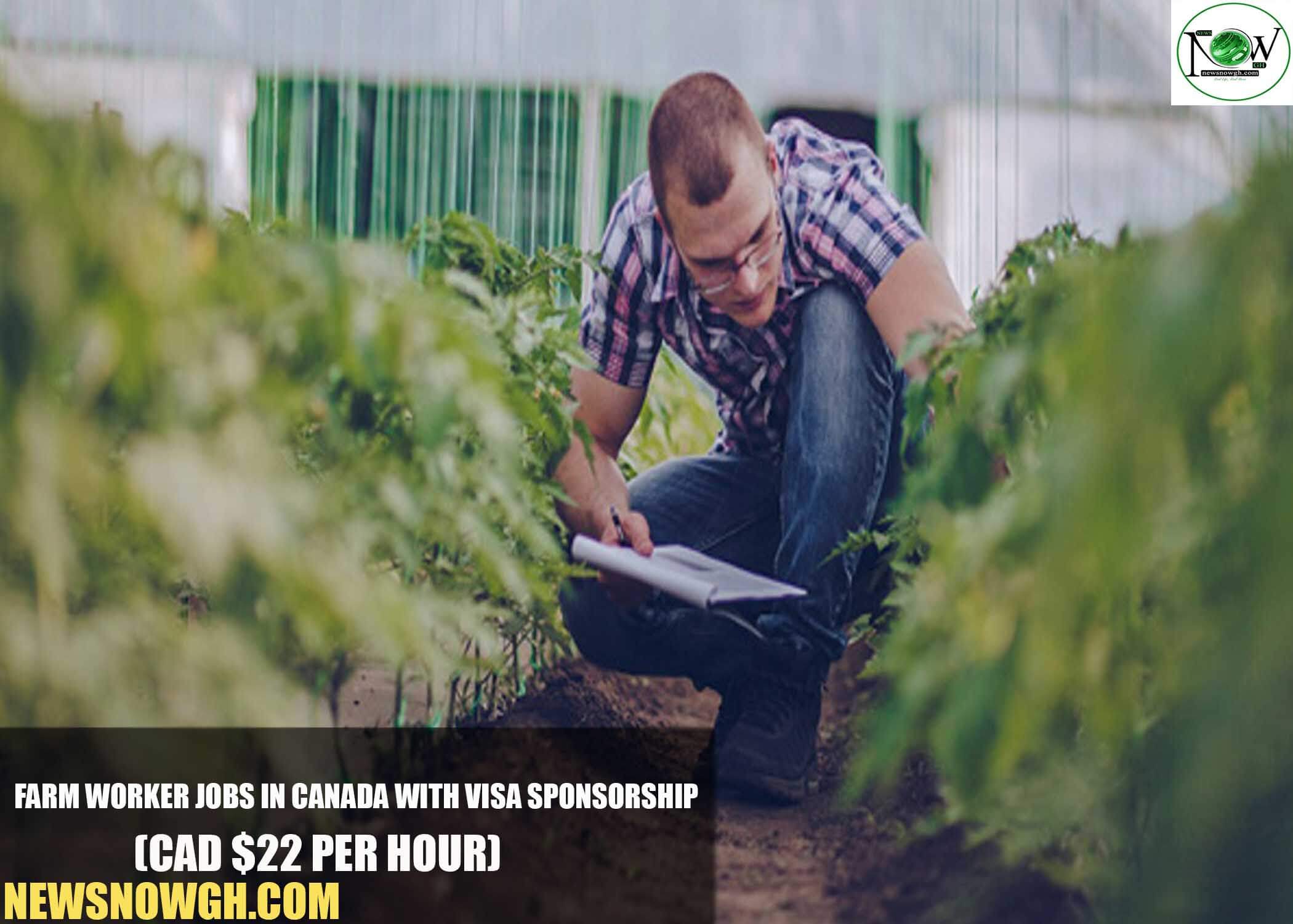 Farm Worker Jobs in Canada with Visa Sponsorship