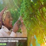 Fruit Farm Jobs in Germany with Visa Sponsorship