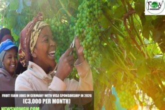 Fruit Farm Jobs in Germany with Visa Sponsorship
