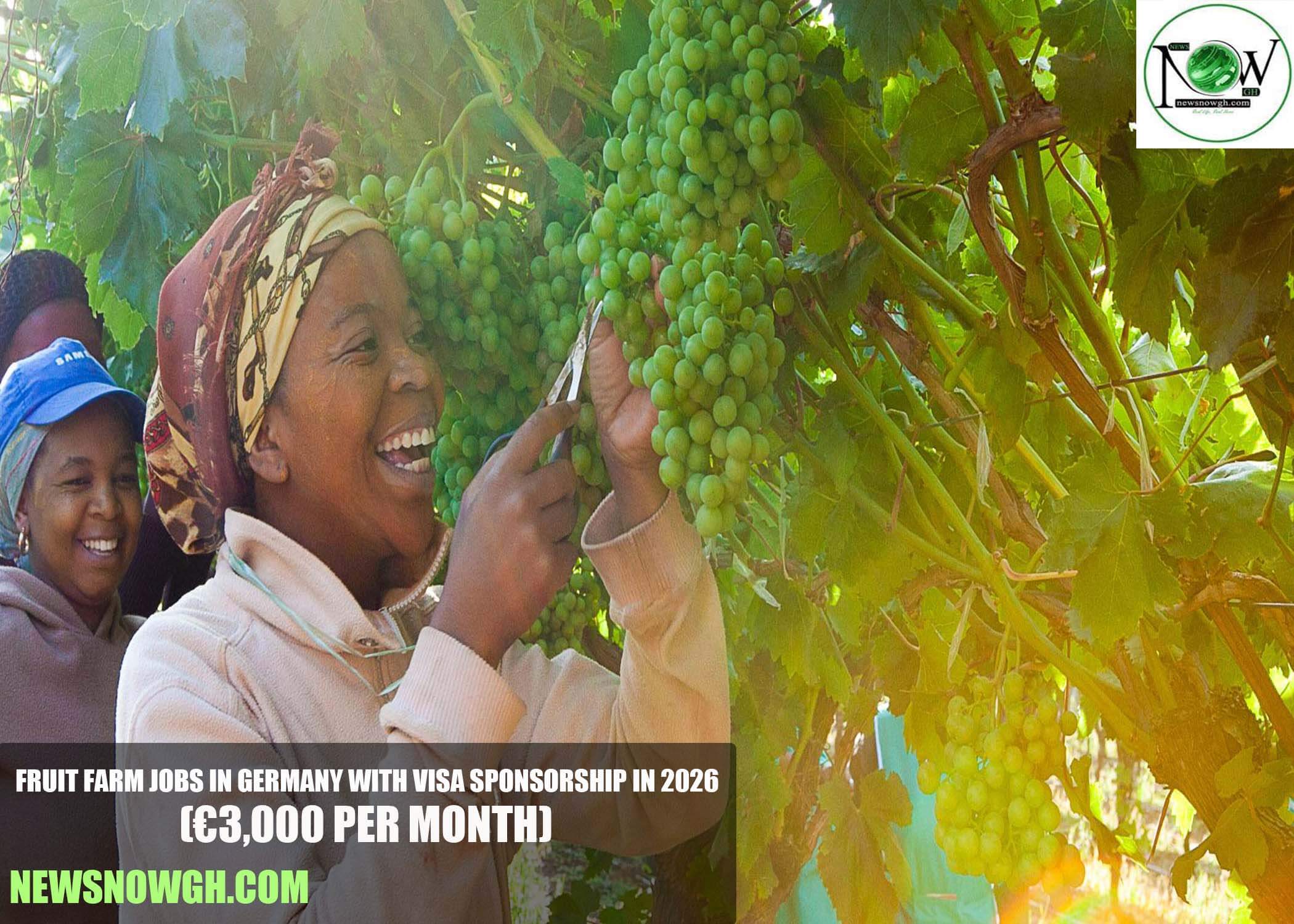 Fruit Farm Jobs in Germany with Visa Sponsorship