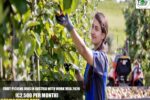 Fruit-Picking Jobs in Austria with Work Visa 2026