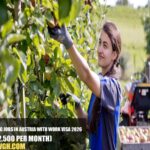 Fruit-Picking Jobs in Austria with Work Visa 2026