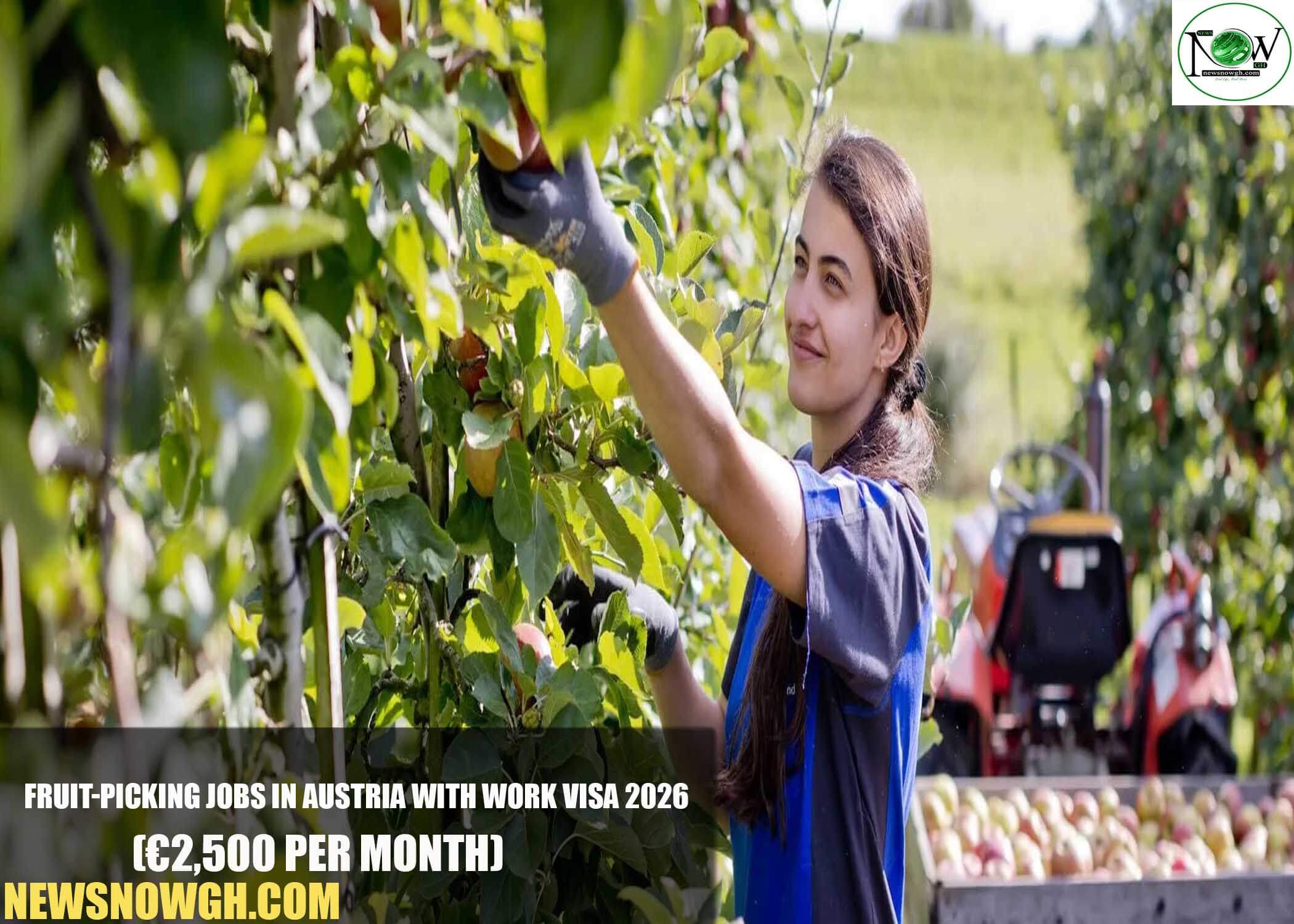 Fruit-Picking Jobs in Austria with Work Visa 2026