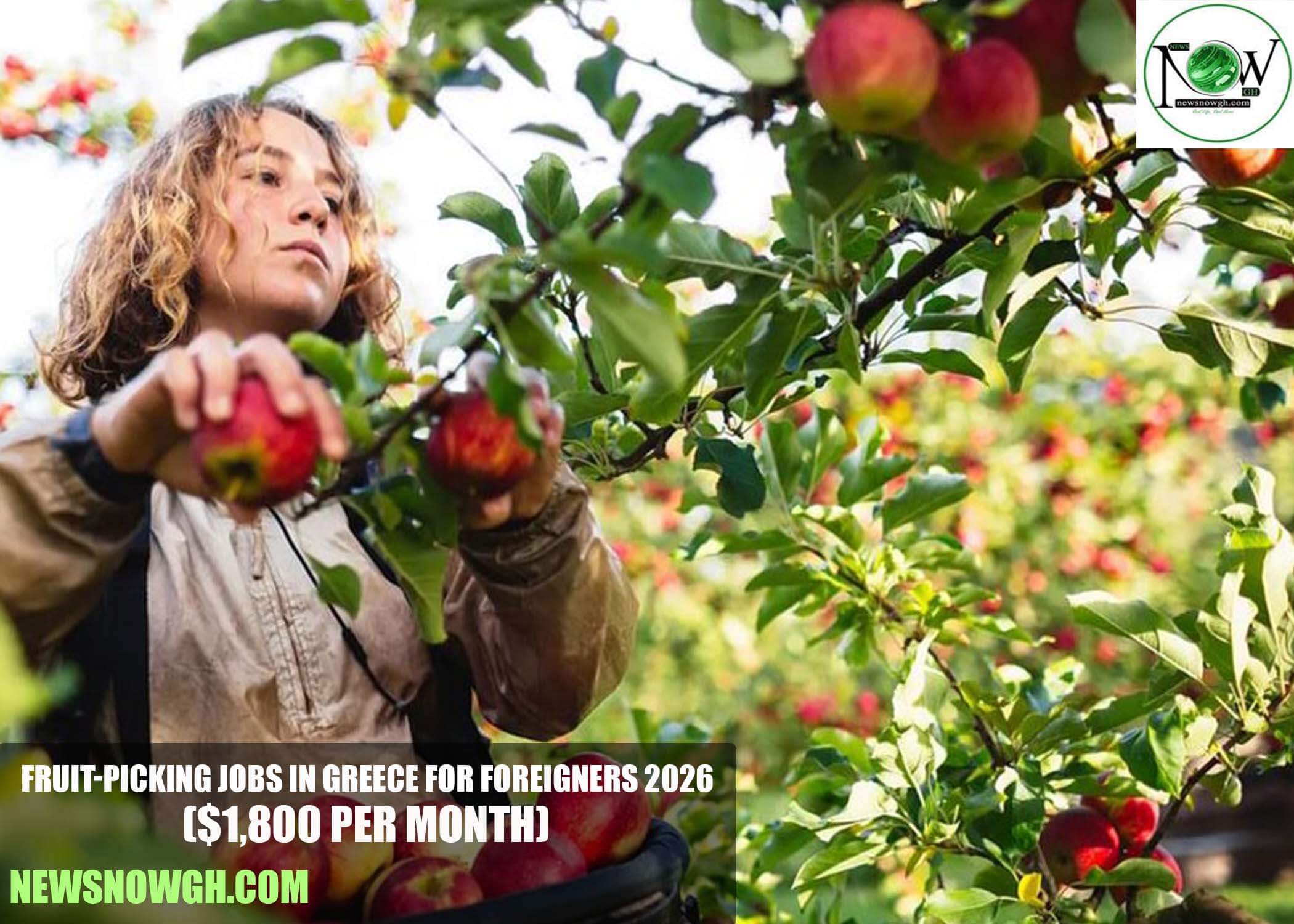 Fruit-Picking Jobs in Greece for Foreigners 2026