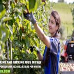 Fruit Picking and Packing Jobs in Italy