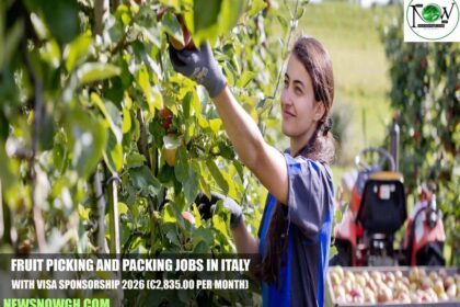 Fruit Picking and Packing Jobs in Italy