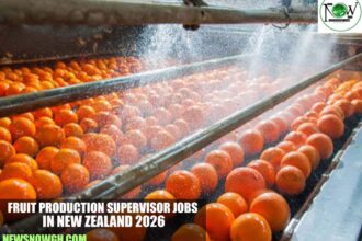 Fruit Production Supervisor Jobs in New Zealand 2026