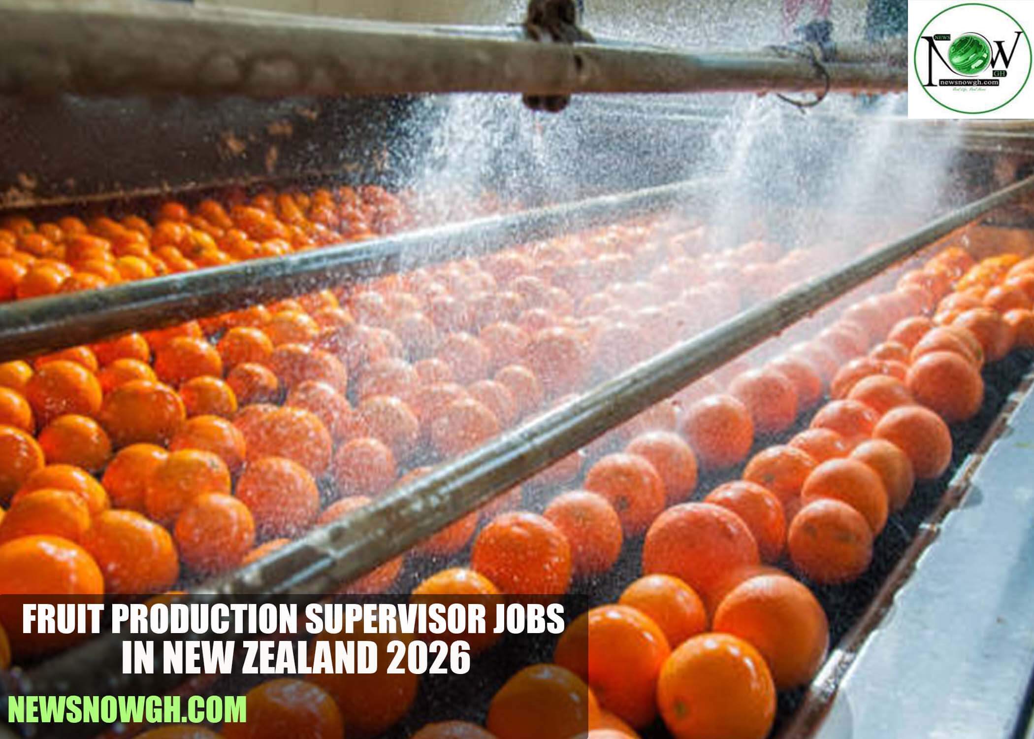 Fruit Production Supervisor Jobs in New Zealand 2026