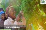 Fruit-picking Jobs in Switzerland for Foreigners 2026