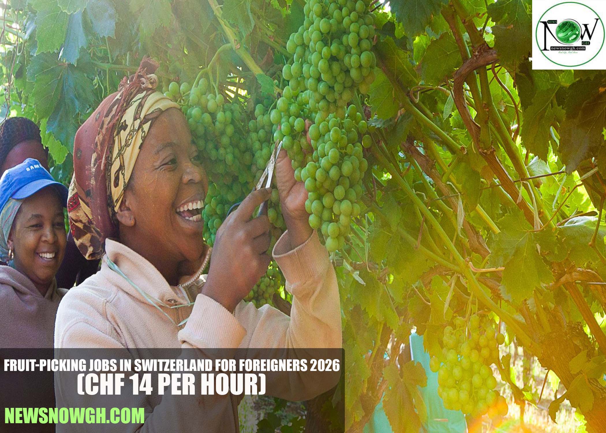 Fruit-picking Jobs in Switzerland for Foreigners 2026