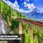 Geneva Peace Fellowships