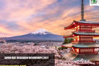 Japan OIST Research Internships