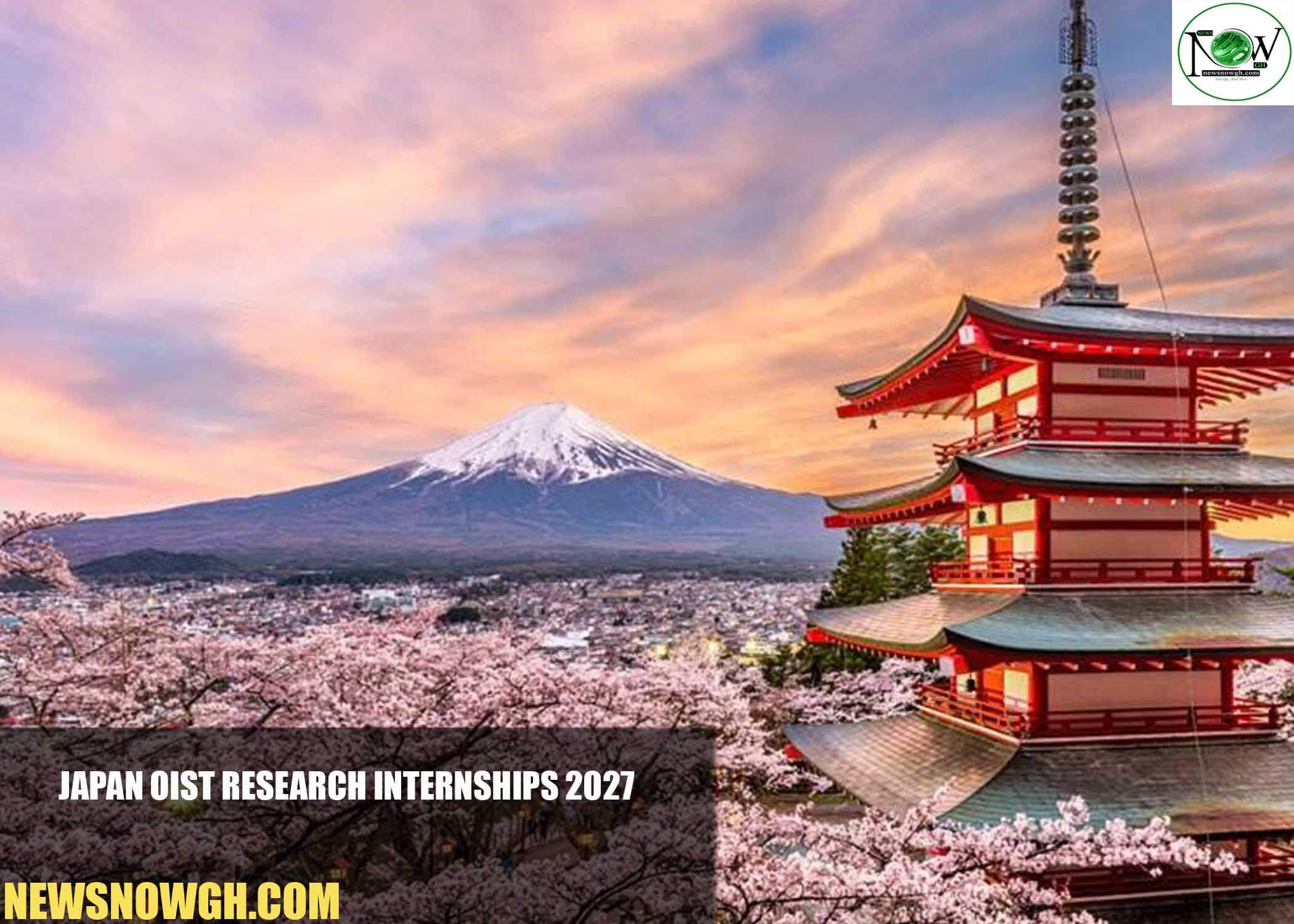 Japan OIST Research Internships