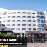 Jönköping University Scholarships