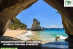 New Zealand Introduces 6-Month Graduate Work Visa, Extends Post-Study Work Opportunities