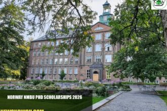 Norway NMBU PhD Scholarships