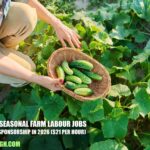 Norway Seasonal Farm Labour Jobs