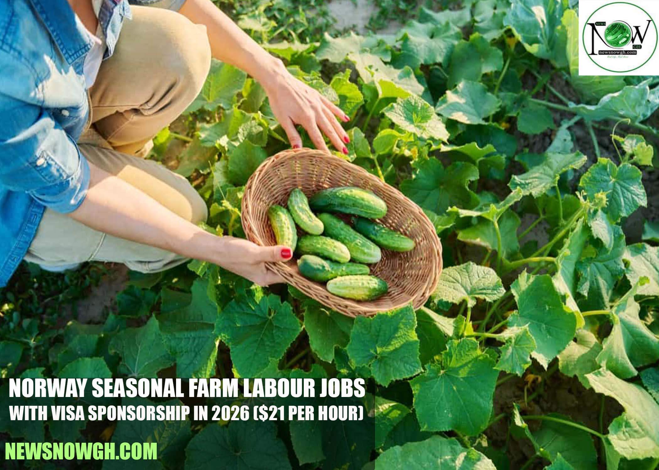 Norway Seasonal Farm Labour Jobs