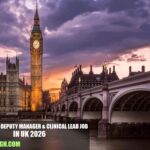 Peripatetic Deputy Manager & Clinical Lead Job in UK 2026