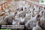 Poultry Farm Worker Jobs in Canada