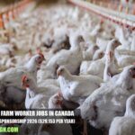 Poultry Farm Worker Jobs in Canada