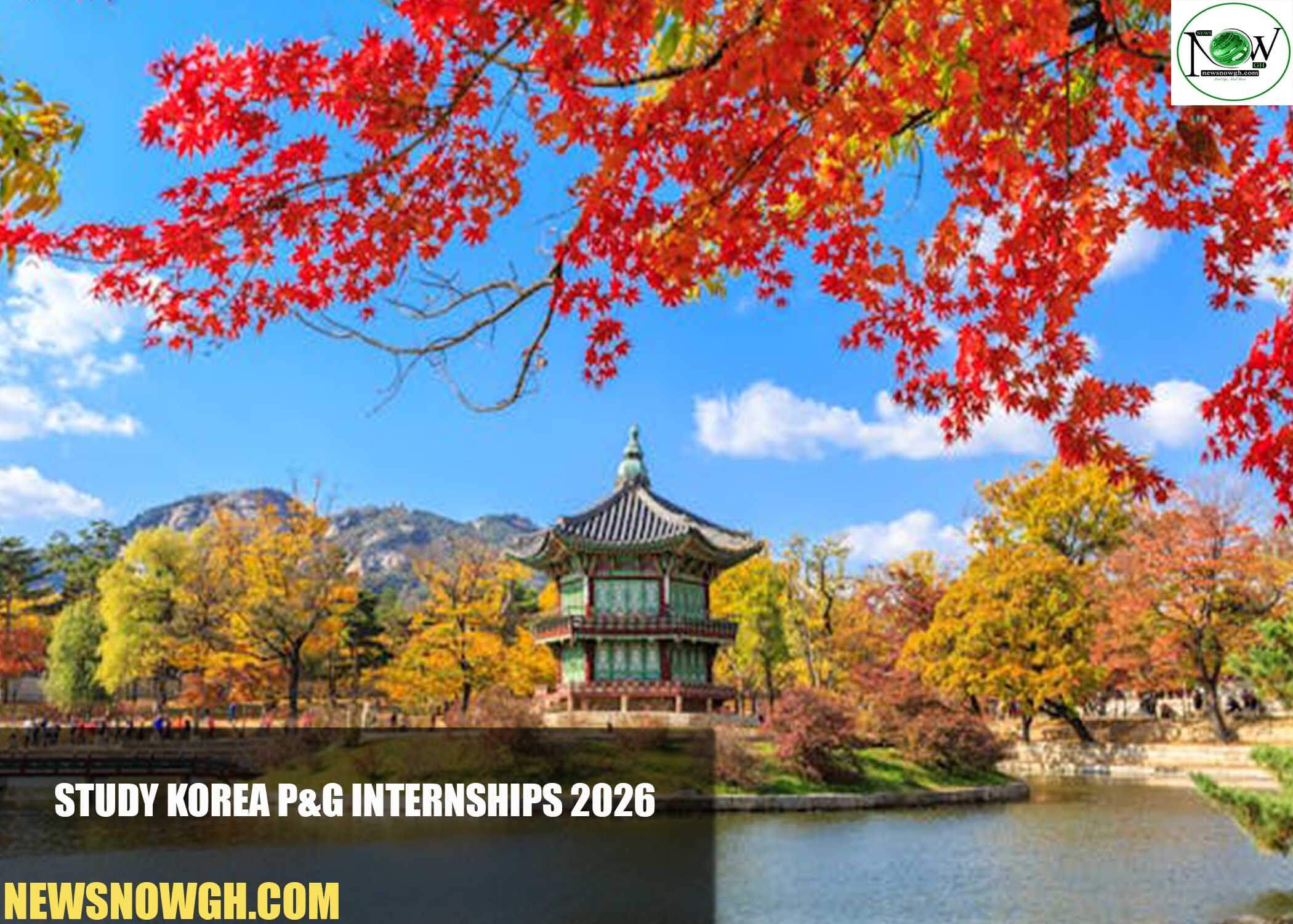 Study Korea P&G Internships