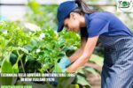 Technical Field Advisor (Horticulture) Jobs in New Zealand 2026
