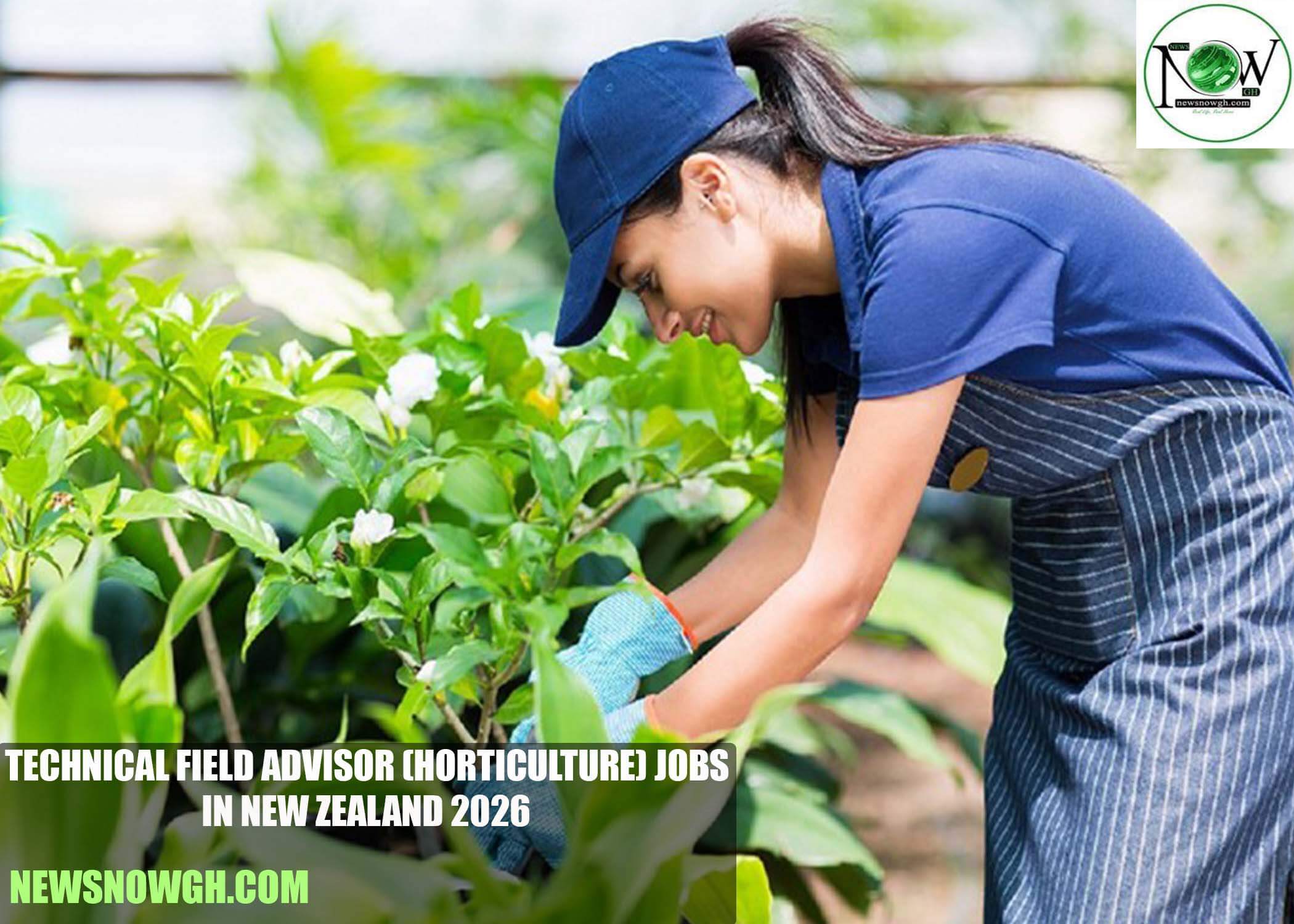 Technical Field Advisor (Horticulture) Jobs in New Zealand 2026