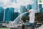 Trade Advisory Hub Manager Jobs in Singapore 2026