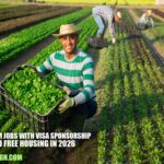 USA Farm Jobs with Visa Sponsorship
