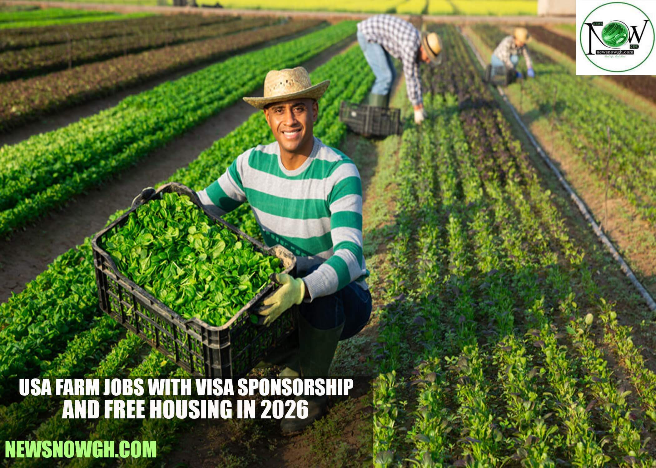 USA Farm Jobs with Visa Sponsorship