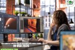 USA Gameplay Writer Jobs in 2026 with Free Work Permit