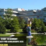 Ulm University PhD Scholarships