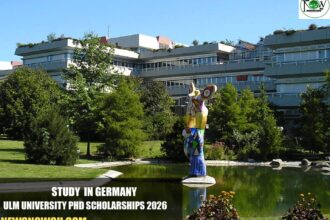 Ulm University PhD Scholarships