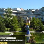 Ulm University Scholarships