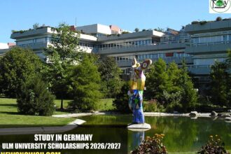 Ulm University Scholarships