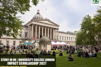 University College London IMPACT Scholarship