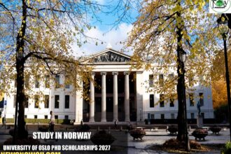 University of Oslo PhD Scholarships